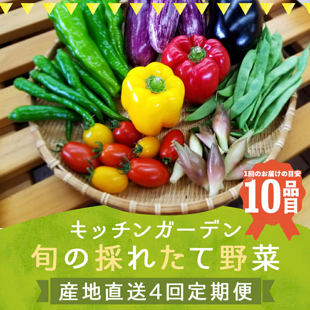 【ふるさと納税】旬の採れたて野菜産地直送定期便 計4回 2月・5月・9月・12月お届け 4回お届け 野菜 加工品 詰め合わせ 目安10品目 岩手県 国産 東北産 冷蔵 送料無料 - 画像2