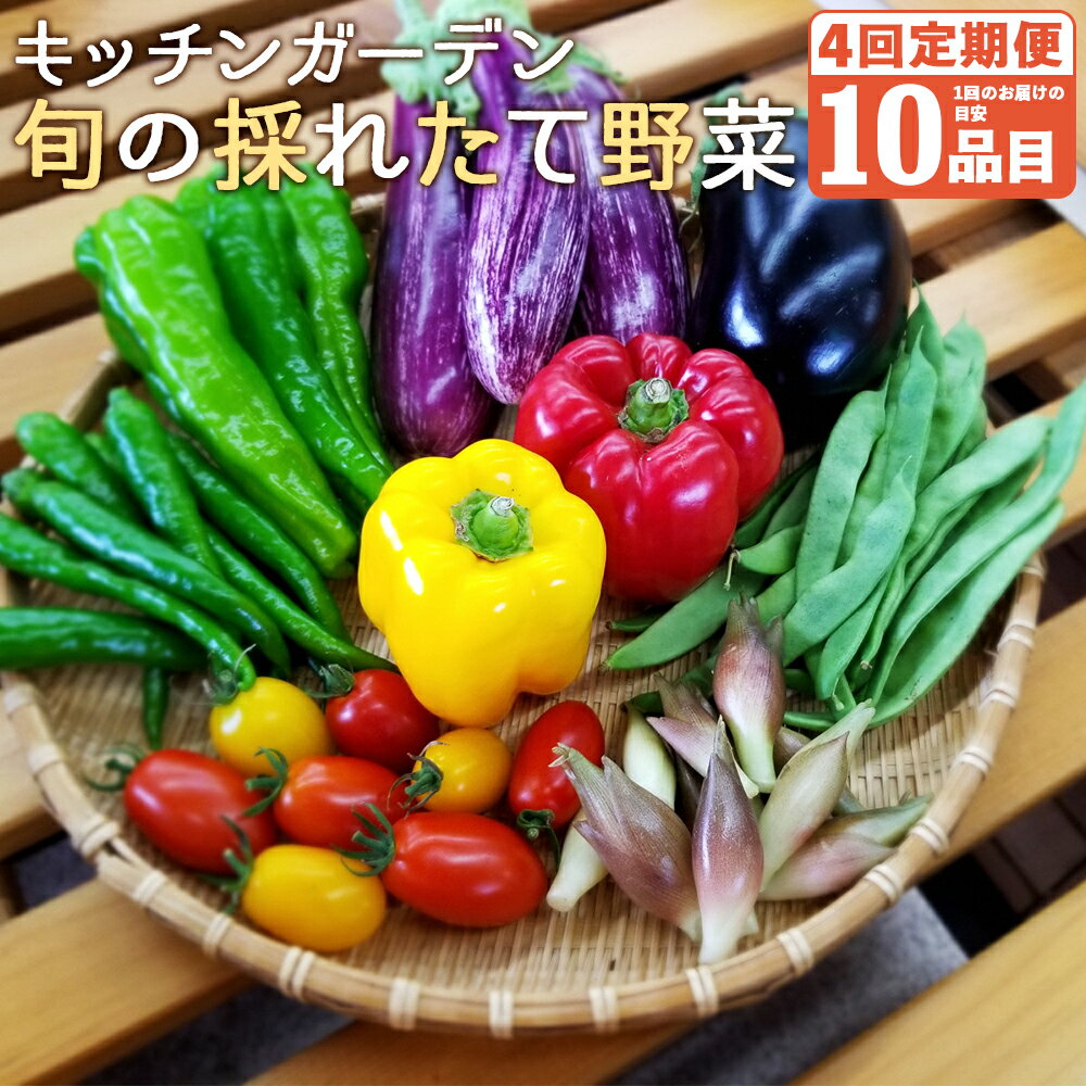 旬の採れたて野菜産地直送定期便 計4回 2月・5月・9月・12月お届け 4回お届け 野菜 加工品 詰め合わせ 目安10品目 岩手県 国産 東北産 冷蔵 送料無料
