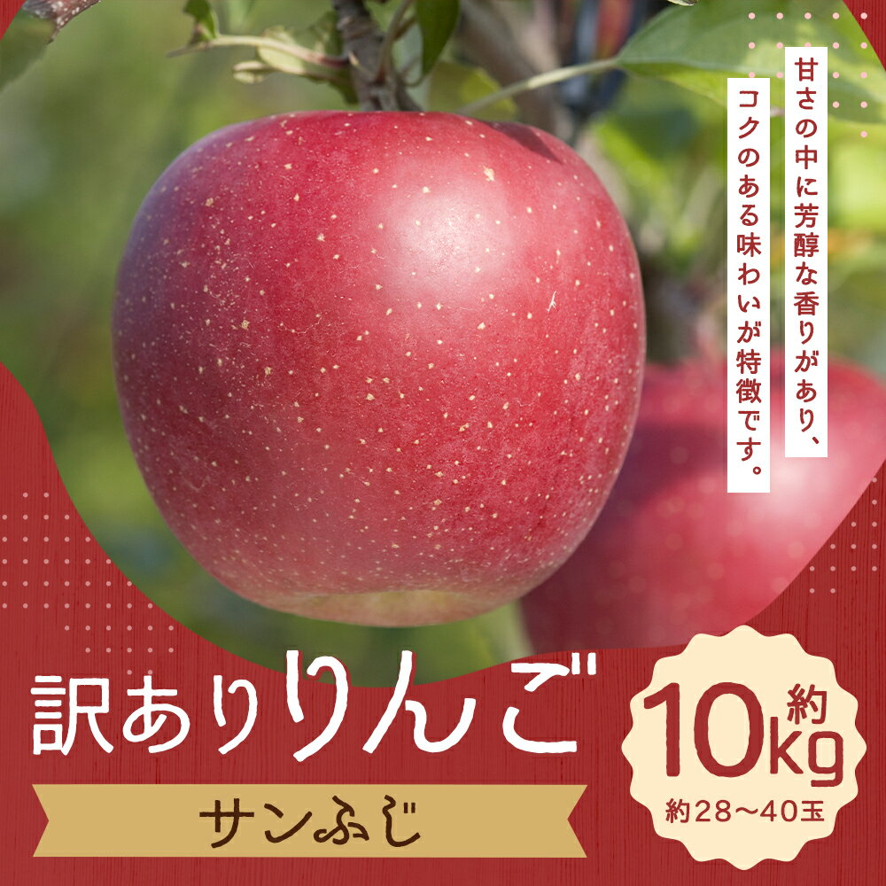 【ふるさと納税】訳あり りんご サンふじ 約10kg 約28～40玉 訳あり ご家庭用 りんご リンゴ 林檎 フルーツ 果物 岩手県産 送料無料 【2025年12月下旬－2026年1月下旬発送予定】 サムネイル2