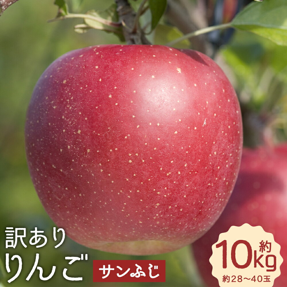 訳あり りんご サンふじ 約10kg 約28～40玉 訳あり ご家庭用 りんご リンゴ 林檎 フルーツ 果物 岩手県産 送料無料 【2025年12月下旬－2026年1月下旬発送予定】