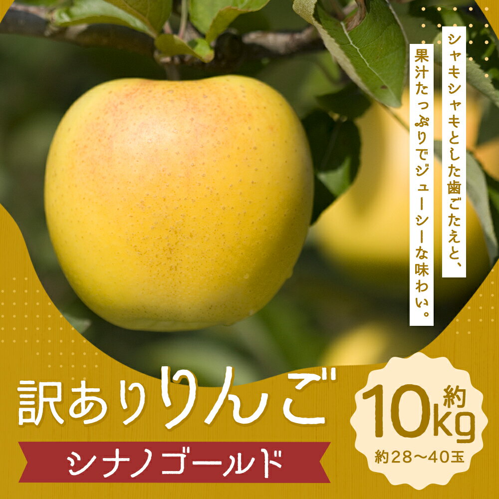 【ふるさと納税】訳あり りんご シナノゴールド 約10kg 約28～40玉 訳あり ご家庭用 りんご リンゴ 林檎 フルーツ 果物 岩手県産 送料無料 【2025年12月下旬－2026年1月下旬発送予定】 サムネイル2