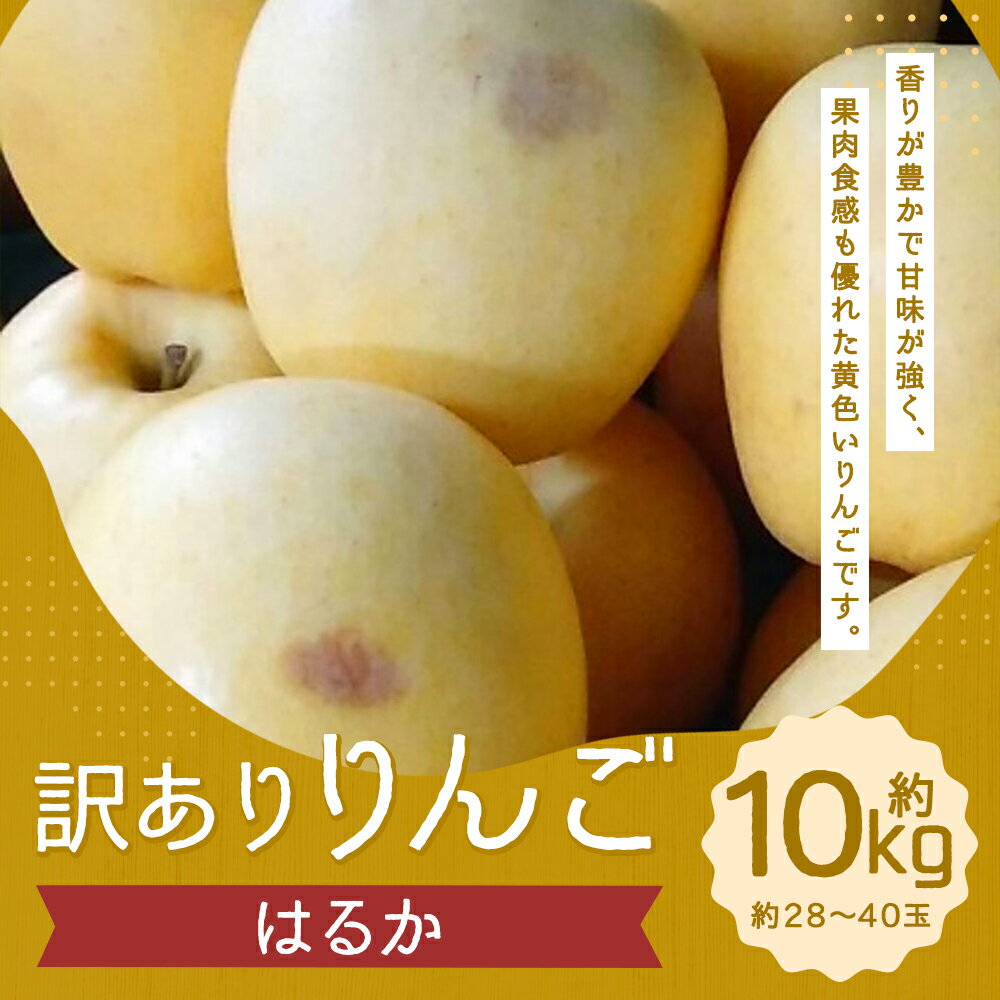 【ふるさと納税】訳あり りんご はるか 約10kg 約28～40玉 訳あり ご家庭用 りんご リンゴ 林檎 フルーツ 果物 岩手県産 送料無料 【2025年12月下旬－2026年1月下旬発送予定】 サムネイル2