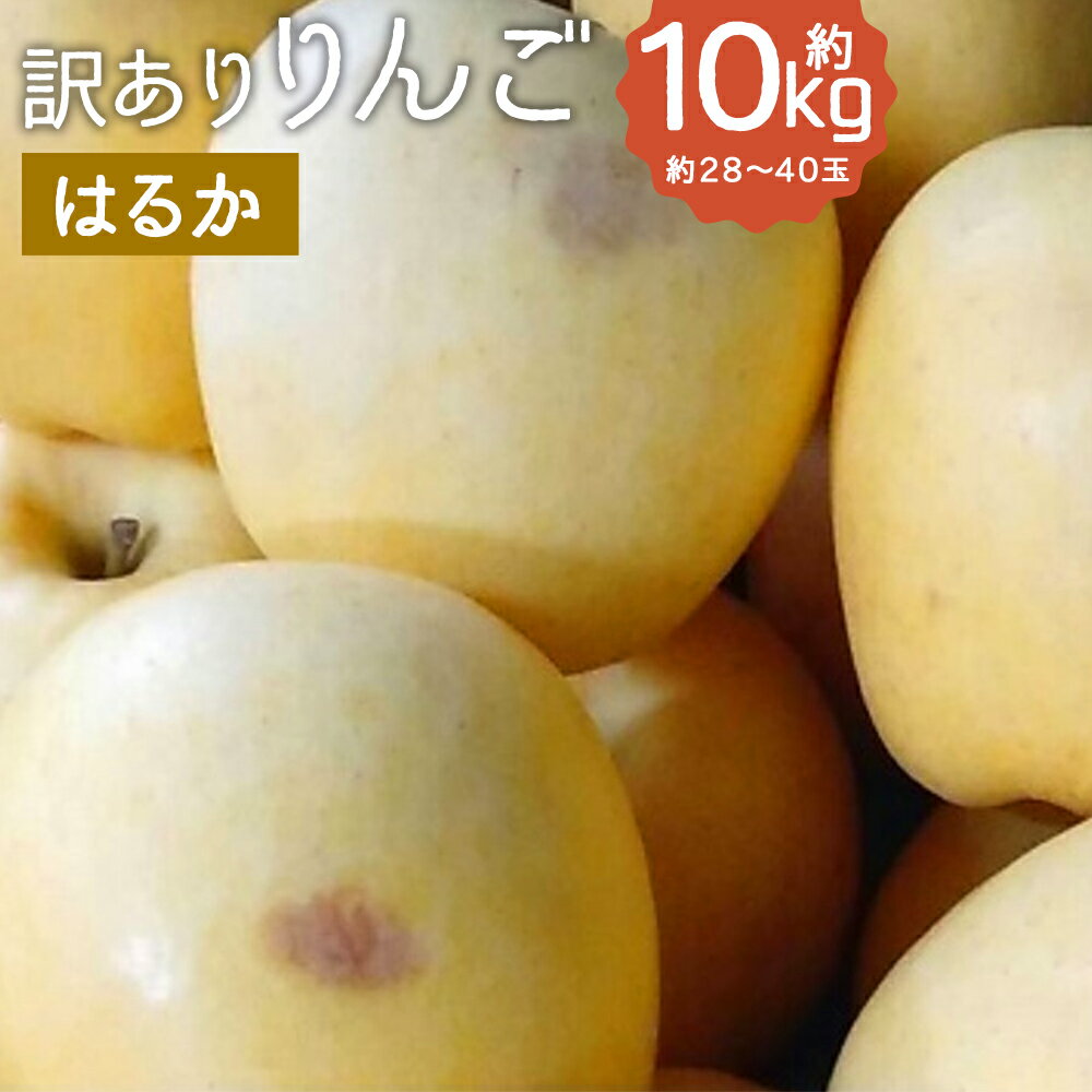 訳あり りんご はるか 約10kg 約28～40玉 訳あり ご家庭用 りんご リンゴ 林檎 フルーツ 果物 岩手県産 送料無料 【2025年12月下旬－2026年1月下旬発送予定】