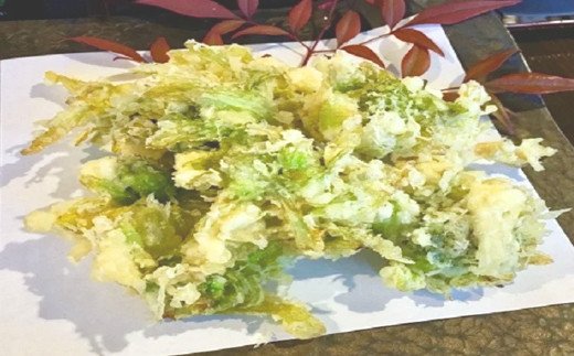 【ふるさと納税】 ＜早期予約＞ ふきのとう フキノトウ 蕗の薹 期間限定 国産 天然ふきのとう 約240g ／ 山菜 さんさい 天然山菜 春の味覚 春野菜 旬野菜 季節物 小分け お取り寄せ グルメ ばっけ バッケ 季節限定 数量限定 じじちゃん 岩手県 八幡平市 産地直送 送料無料 - 画像2