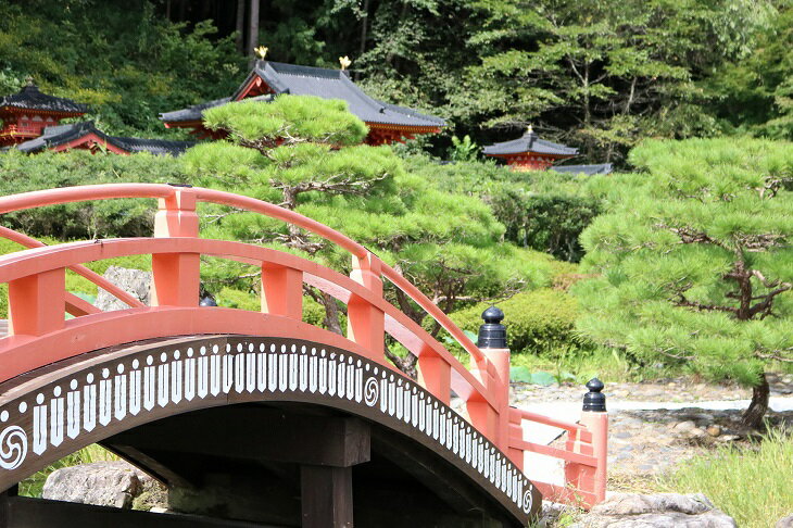 【ふるさと納税】 ｢十二単(女性用)｣着付体験1名様分 145cm～／胸囲100cmまで 体験券 チケット 写真撮影 着付け 体験 [RE001] - 画像2