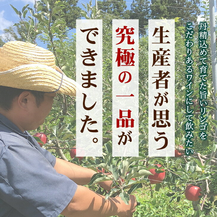 【ふるさと納税】 完熟りんご100％使用 ワイン 「Demeter〜デメテル〜」 奥州市産りんごを使用した貴重なアップルワイン 720ml×2本 [Q0001] サムネイル2