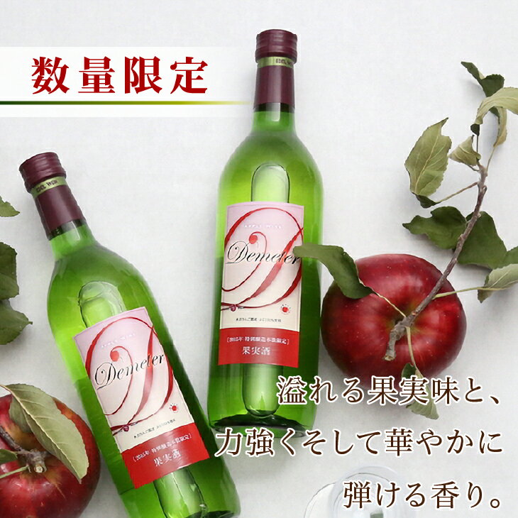 【ふるさと納税】 完熟りんご100％使用 ワイン 「Demeter〜デメテル〜」 奥州市産りんごを使用した貴重なアップルワイン 720ml×2本 [Q0001] サムネイル3
