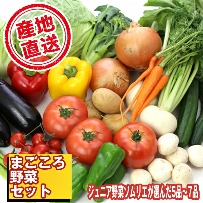 野菜 おすすめ やさい セット 滝沢まごころ野菜セット (5～7品) 果物 加工品 詰合せ 詰め合わせ 新鮮 美味しい 産直 チャグチャグ 旬 季節の野菜 地場産品 特産 名産 ジュニア野菜ソムリエ 産地直送 産直直送 山菜 岩手県 滝沢市 送料無料 滝沢産業開発