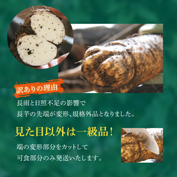 【ふるさと納税】 切っても変色しない 訳あり 土付き 長芋 おすすめ 選べる 4kg 10kg / ながいも 長いも いも 芋 訳アリ わけあり 4キロ 10キロ 滋養強壮 とろろ 山掛け 野菜 生野菜 春野菜 秋野菜 根菜 鮮度長持ち 常温発送 国産 岩手県 滝沢市 農家直送 産地直送 送料無料 サムネイル3