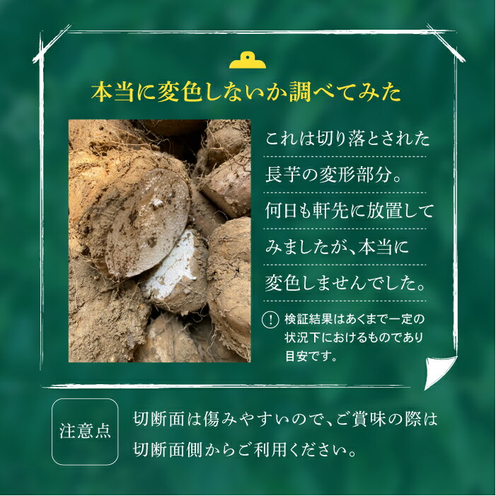 【ふるさと納税】 切っても変色しない 土付き 長芋 おすすめ 4kg 10kg 選べる / ながいも 長いも いも 芋 4キロ 10キロ 滋養強壮 とろろ 山掛け 山かけ 野菜 生野菜 春野菜 秋野菜 根菜 鮮度長持ち 常温発送 みずみずしい 岩手県 滝沢市 農家直送 産地直送 送料無料 マル庄 - 画像3