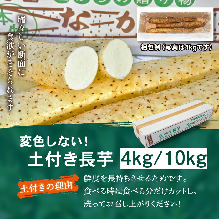 【ふるさと納税】 切っても変色しない 土付き 長芋 おすすめ 4kg 10kg 選べる / ながいも 長いも いも 芋 4キロ 10キロ 滋養強壮 とろろ 山掛け 山かけ 野菜 生野菜 春野菜 秋野菜 根菜 鮮度長持ち 常温発送 みずみずしい 岩手県 滝沢市 農家直送 産地直送 送料無料 マル庄 - 画像2