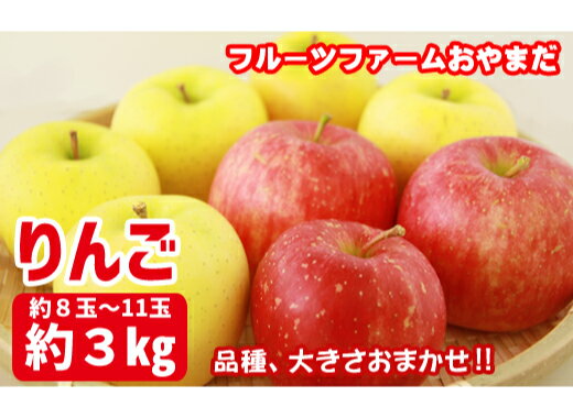岩手県産 家庭用 りんご 3kg おすすめ リンゴ 林檎 3キロ 品種と大きさおまかせ！ 約8玉～11玉 アップル 果物 採れたて 新鮮 旬 産地直送 冬の味覚 農園 生食 加工 製菓 アップルパイ コンポート 【フルーツファームおやまだ】 岩手県 滝沢市 送料無料