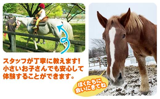 【ふるさと納税】 引馬 体験 おすすめ 引馬体験 チケット 1回分 ／ ふれあい 引き馬 乗馬 馬 ホース ホースセラピー 動物 アニマル アニマルセラピー セラピー 癒し 体験チケット 観光 遊び お出掛け アクティビティ 子供 大人 岩手県 滝沢市 送料無料 馬っこパーク・いわて サムネイル2