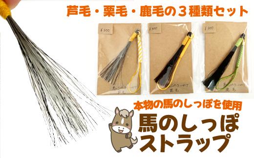 ストラップ おすすめ 馬のしっぽの毛ストラップ 3種類 セット ／ 雑貨 馬毛 本物 アクセサリー 栗毛 鹿毛 芦毛 馬 うま ウマ グッズ 飾り 幸運 開運 厄除け 魔除け ラッキー アイテム ギフト プレゼント 岩手県 滝沢市 送料無料 馬っこパーク・いわて