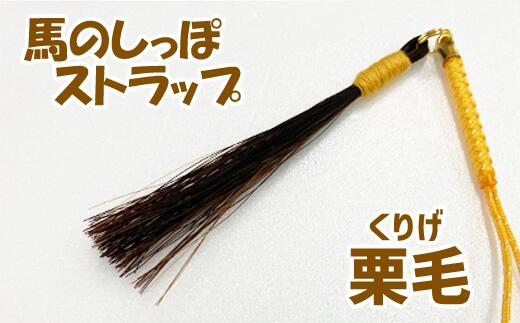 【ふるさと納税】 ストラップ おすすめ 馬のしっぽの毛ストラップ 3種類 セット ／ 雑貨 馬毛 本物 アクセサリー 栗毛 鹿毛 芦毛 馬 うま ウマ グッズ 飾り 幸運 開運 厄除け 魔除け ラッキー アイテム ギフト プレゼント 岩手県 滝沢市 送料無料 馬っこパーク・いわて サムネイル2