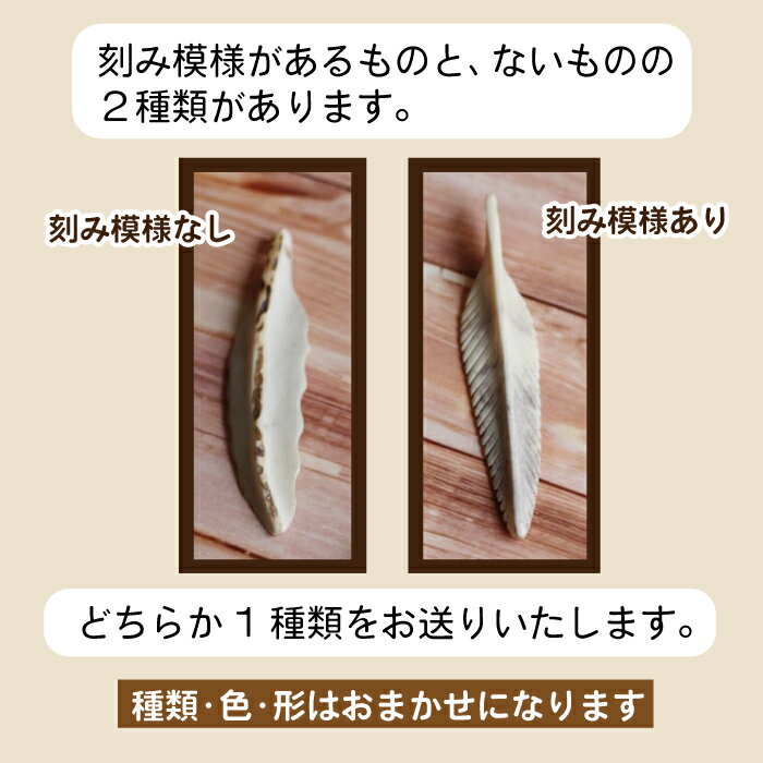 【ふるさと納税】 鹿角 おすすめ 鹿の角 ペンダント トップ 1個 ／ 鹿 しか 角 つの ツノ 加工 加工品 工芸 工芸品 クラフト グッズ 日用品 雑貨 ネックレス 首飾り おしゃれ 装飾品 装飾 飾り 不揃い ふぞろい 本物 天然 ワイルド 珍しい 人気 岩手県 滝沢市 送料無料 竜鹿 サムネイル2
