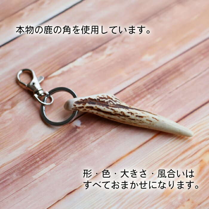 【ふるさと納税】 鹿角 おすすめ 鹿の角 キーホルダー 1個 ／ 鹿 しか 角 つの ツノ 加工 加工品 工芸 工芸品 クラフト グッズ 日用品 雑貨 キーリング ストラップ シンプル 装飾品 飾り 不揃い ふぞろい 本物 天然 ワイルド 珍しい 人気 岩手県 滝沢市 送料無料 竜鹿 サムネイル2