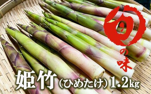 根曲がりたけ 1.2kg 1.2キロ / おすすめ 野菜 春 春野菜 山菜 姫竹 ヒメタケ ひめたけ 根曲がり竹 産直 旬 料理 天ぷら 天麩羅 天婦羅 素焼き 炊き込みご飯 味噌汁 煮物 グリル 天然 春の味覚 仕送り 国産 岩手県 雫石町 産地直送 送料無料 産直松の実