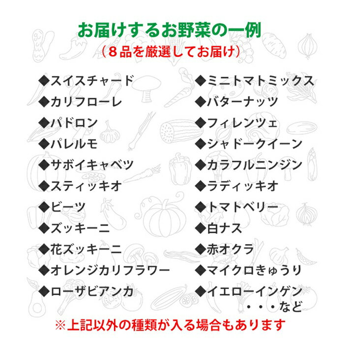 【ふるさと納税】 野菜ソムリエ 産直松の実の松原店長 厳選 ヨーロッパ野菜 BOX 8品 ／ 岩手県 雫石町 採れたて 新鮮 野菜 ヨーロッパ フレッシュ セット 生鮮食品 カラフル オシャレ 季節野菜 季節 夏野菜 詰合せ 詰め合せ 国産 冷蔵発送 冷蔵 お取り寄せ 産地直送 送料無料 - 画像3