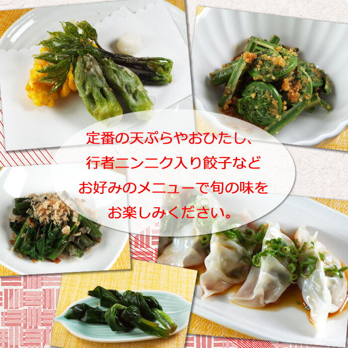 【ふるさと納税】 春の山菜 おまかせ セット 5～6種類 / おすすめ 新鮮 採れたて 野菜 春 山菜 春野菜 旬菜 産直 旬 料理 天ぷら おひたし ピザ パスタ 味噌汁 みそ汁 天然 お取り寄せ 岩手県 雫石町 産地直送 送料無料 季節限定 期間限定 数量限定 稀少 希少 産直松の実 - 画像2