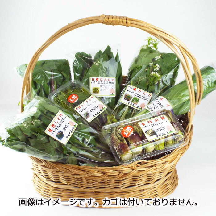 【ふるさと納税】 春の山菜 おまかせ セット 5～6種類 / おすすめ 新鮮 採れたて 野菜 春 山菜 春野菜 旬菜 産直 旬 料理 天ぷら おひたし ピザ パスタ 味噌汁 みそ汁 天然 お取り寄せ 岩手県 雫石町 産地直送 送料無料 季節限定 期間限定 数量限定 稀少 希少 産直松の実 - 画像3