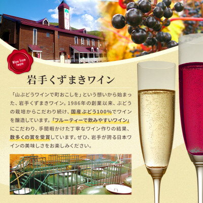 【ふるさと納税】くずまきワイン おすすめ 5本セット 赤・白・ロゼ 各360ml(ナドーレ・フォーレ)【1635812】 サムネイル2