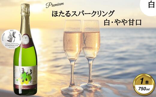 【ふるさと納税】岩手くずまきワイン　スパークリング　【ほたるスパークリング・白:750ml】　1本【1648943】 サムネイル2