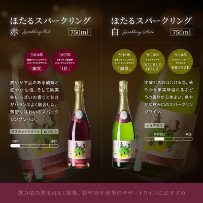 【ふるさと納税】スパークリングワイン 2本セット ( 赤ワイン 白ワイン ) 甘口 飲み比べ ワイン 詰め合わせ【1226088】 サムネイル2