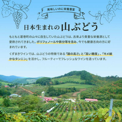 【ふるさと納税】スパークリングワイン 2本セット ( 赤ワイン 白ワイン ) 甘口 飲み比べ ワイン 詰め合わせ【1226088】 サムネイル3