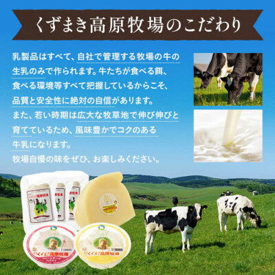 【ふるさと納税】葛巻町おすすめ　ワインとチーズセット【配送不可地域：離島】【1231289】 サムネイル3