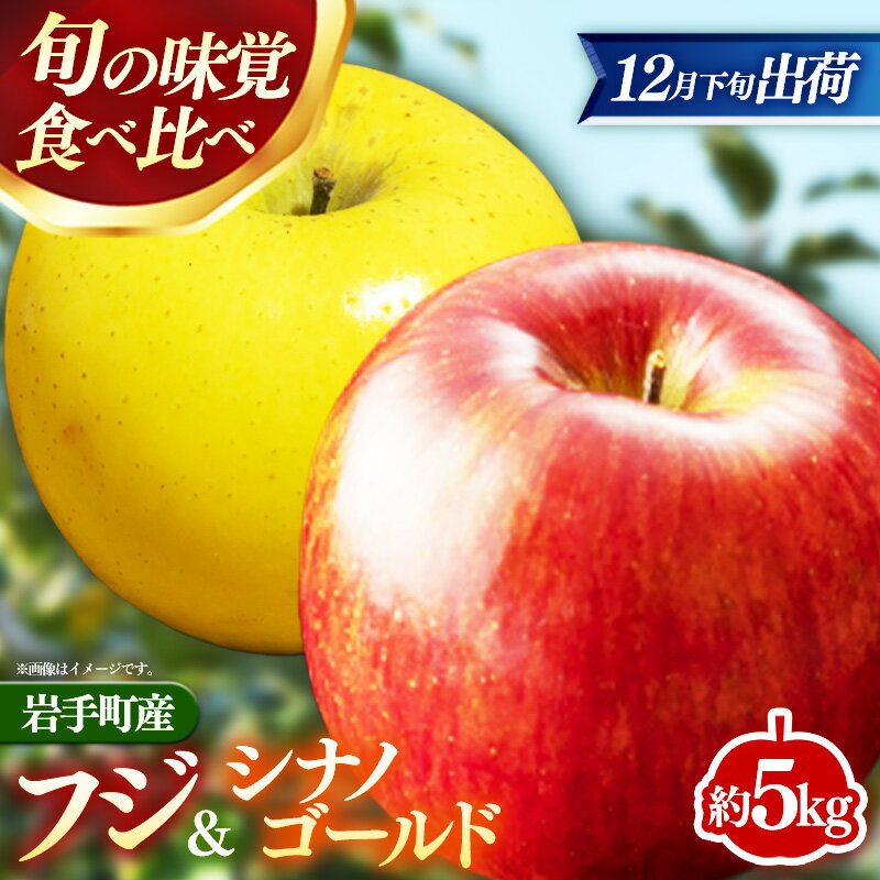【12月下旬より順次発送】【先行受付】フジ＆シナノゴールド約5kg 令和7年産 りんご リンゴ フジ シナノゴールド フルーツ 果物 くだもの アップル 甘み 酸味 蜜入り ジューシー セット 詰め合わせ 岩手県 岩手町 高村果樹園※沖縄県・離島への配送不可