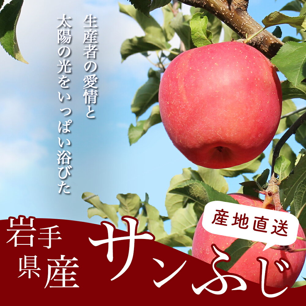 【ふるさと納税】りんご サンふじ リンゴ 秀品 3kg 9-11玉 2026年 11月 12月 3キロ フルーツ 果物 林檎 岩手 紫波 ギフト 贈答 贈答用 贈り物 プレゼント 【予約受付中 11月下旬から発送予定】 サムネイル2