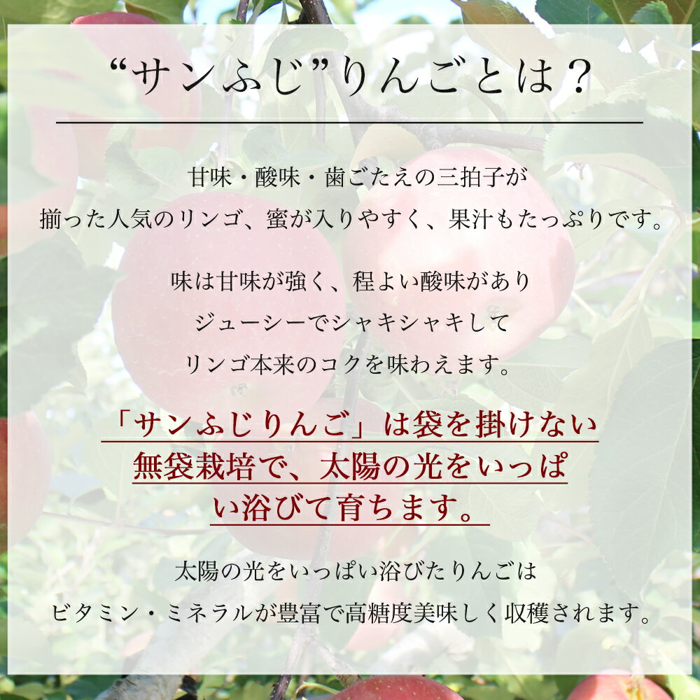 【ふるさと納税】りんご サンふじ リンゴ 秀品 3kg 9-11玉 2026年 11月 12月 3キロ フルーツ 果物 林檎 岩手 紫波 ギフト 贈答 贈答用 贈り物 プレゼント 【予約受付中 11月下旬から発送予定】 サムネイル3