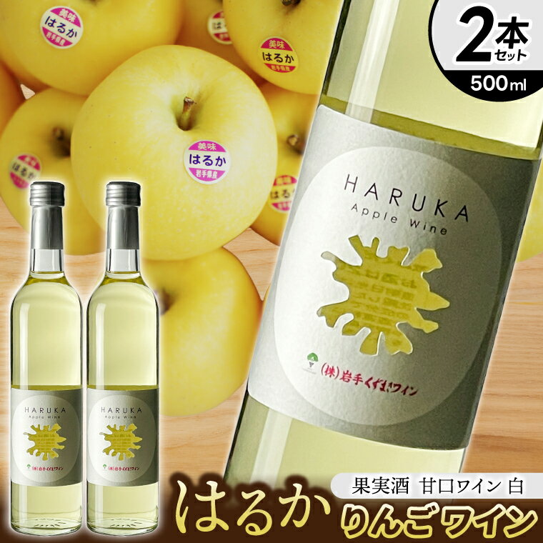 はるか りんごワイン 2本セット【ワイン フルーツワイン 岩手県 紫波町産 りんご】（EX002）