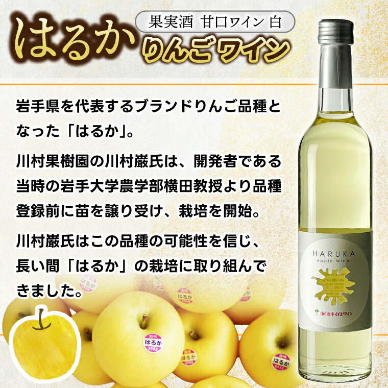 【ふるさと納税】はるか りんごワイン 2本セット【ワイン フルーツワイン 岩手県 紫波町産 りんご】（EX002） サムネイル2