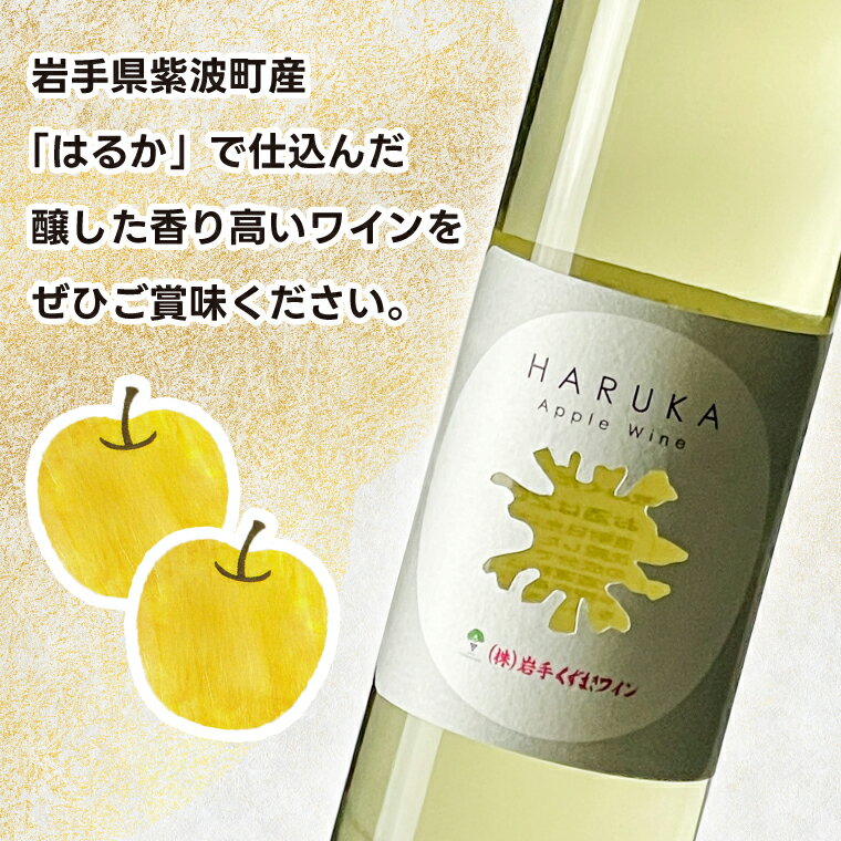 【ふるさと納税】はるか りんごワイン 2本セット【ワイン フルーツワイン 岩手県 紫波町産 りんご】（EX002） サムネイル3