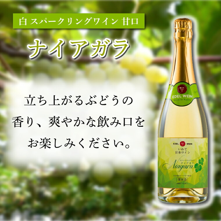 【ふるさと納税】 エーデルワイン 甘口スパークリング　ロゼ・白セット ふるさと納税 ワイン (AS011) サムネイル3