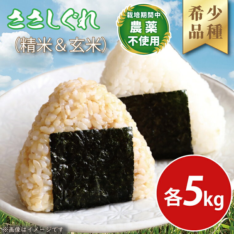 ★令和7年産★ ささしぐれ 10kg (精米5kg・玄米5kg) (DE009)