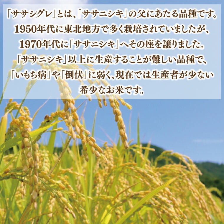 【ふるさと納税】★令和7年産★ ささしぐれ 10kg（精米）ふるさと納税 米 岩手県 (DE007) - 画像2