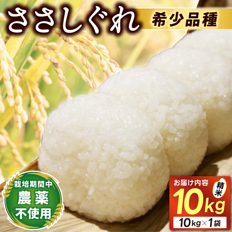 ★令和7年産★ ささしぐれ 10kg（精米）ふるさと納税 米 岩手県 (DE007)