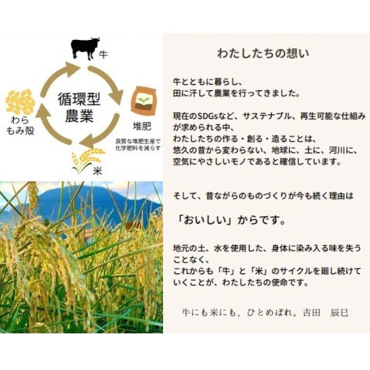 【ふるさと納税】 ＼数量限定／ 令和7年産「ひとめぼれ」 精米 選べる容量 10kg 5kg 米 お米 コメ 精米 白米 ヒトメボレ 岩手県紫波町 (DZ002) - 画像2