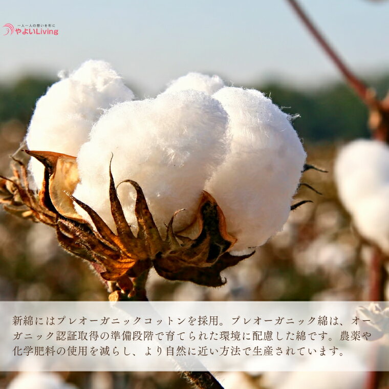 【ふるさと納税】 ＼受注生産・職人手作りふとん／tsumugi 仏座布団 (EO016) - 画像2