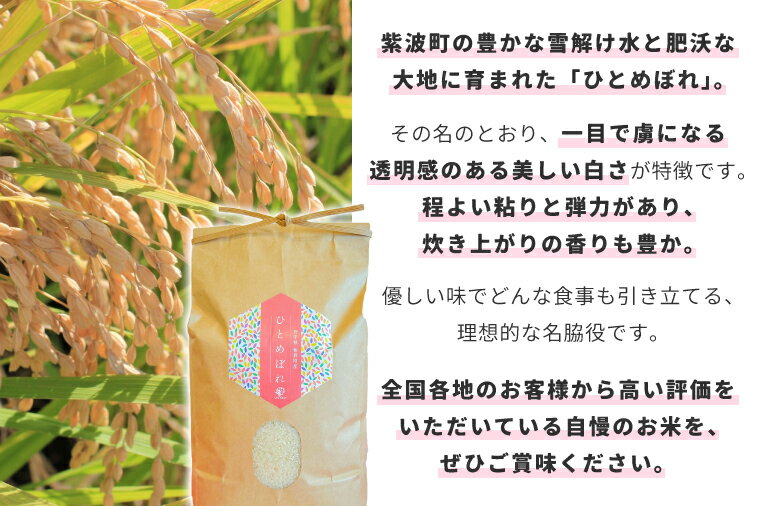 【ふるさと納税】 ＼数量限定／ ひとめぼれ 精米 5kg 令和7年産 米 お米 コメ 精米 白米 岩手県紫波町 (EN002) - 画像3