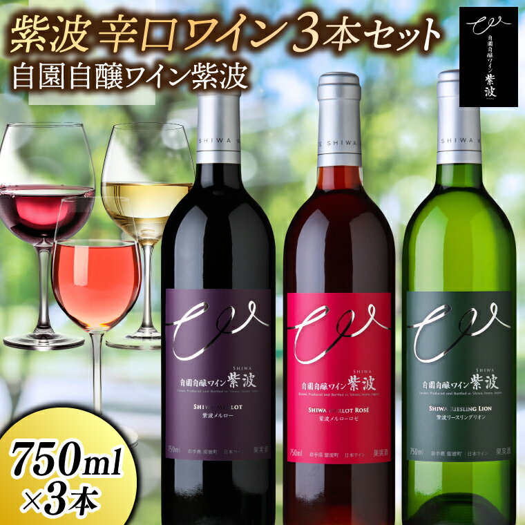＼レビューキャンペーン実施中／ 紫波辛口ワイン3本セット【メルロー・メルローロゼ・リースリングリオン】(AL085)