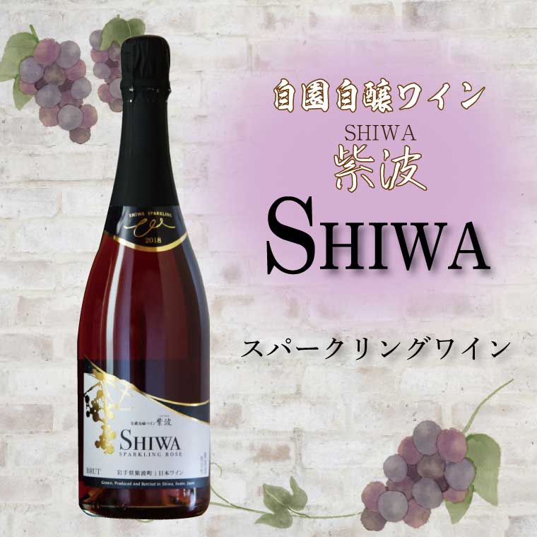 産地限定 ワインぶどう品種使用 スパークリングワイン【自園自醸ワイン紫波】 ふるさと納税 紫波町産 テロワール ワイン (AL064-1)