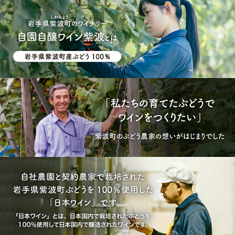 【ふるさと納税】甘口ワイン赤白2本セット(紫波ベーリーA＆ヤマソービニオン・紫波ミュラートゥルガウ＆ケルナー) ワイン 甘口 赤 白 ブドウ 国産ワイン 自園自醸ワイン 日本ワイン (AL099) サムネイル3