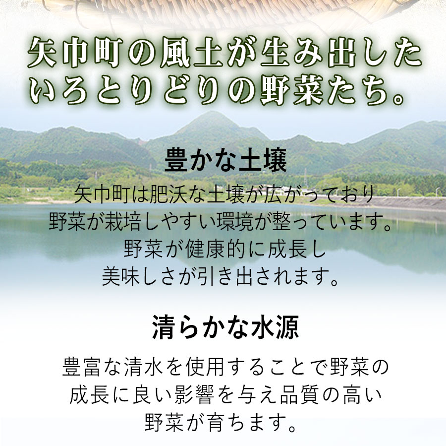 【ふるさと納税】数量限定　矢巾町産　秋野菜セット【10種】9月発送 - 画像3