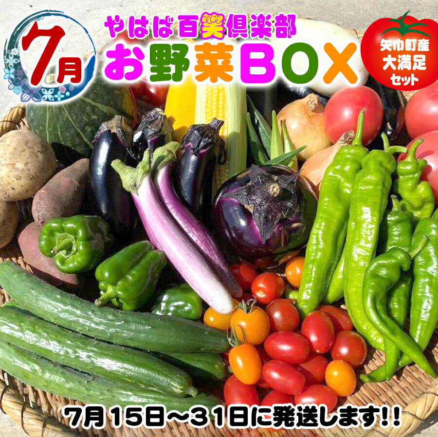 【ふるさと納税】数量限定　矢巾町産　夏野菜セット【10種】7月発送 - 画像2