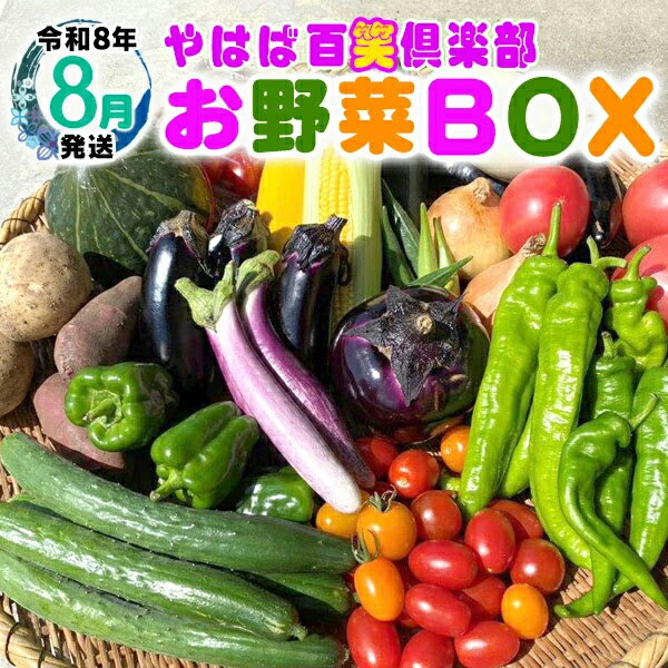 数量限定　矢巾町産　夏野菜セット【10種】8月発送
