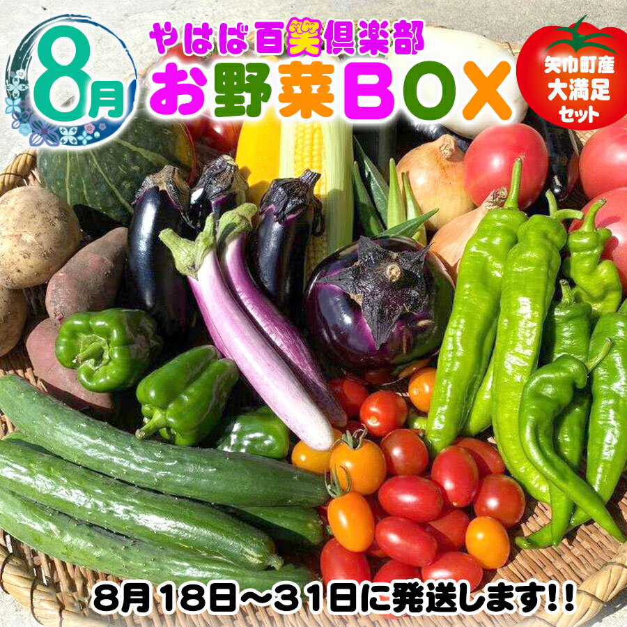 【ふるさと納税】数量限定　矢巾町産　夏野菜セット【10種】8月発送 - 画像2